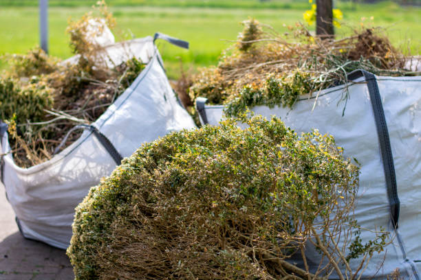 Debris Removal in Sublette, KS